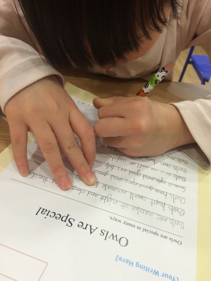 열심히 영어에세이 작성중인 아이